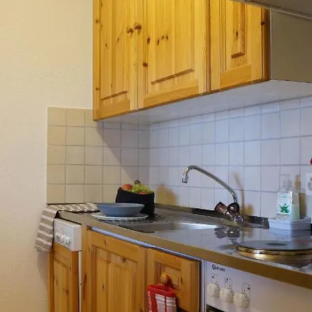 Apartment Zentrale In Mit Großem Balkon St. Moritz